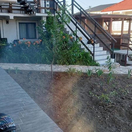 Hotel Alb Negru Vama Veche Exterior foto
